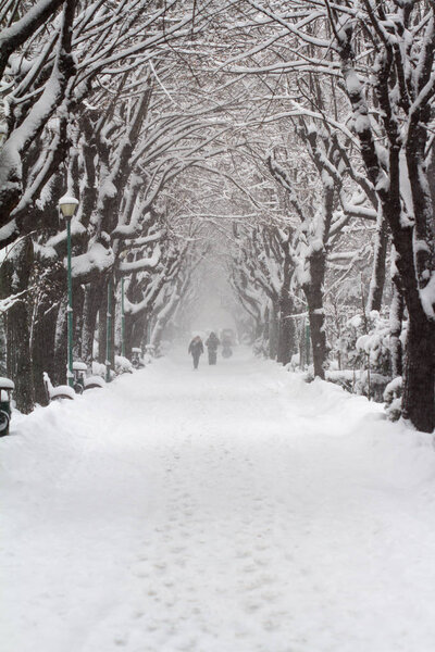 Vertical front view of people walking in a city park alley with trees and snow in winter time