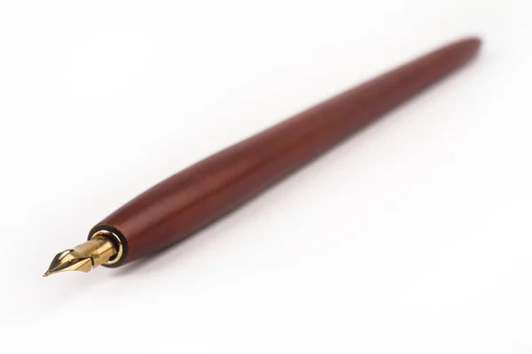 Tinta coklat dip pen — Stok Foto