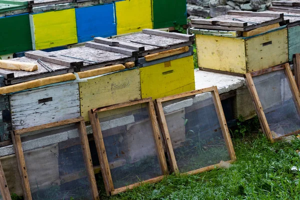 Bijenkorven in de tuin van een gras — Stockfoto