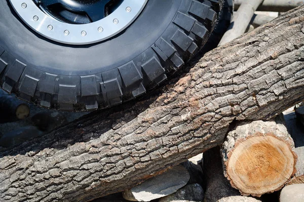 Velký offroad pneumatiky na kmen stromu — Stock fotografie