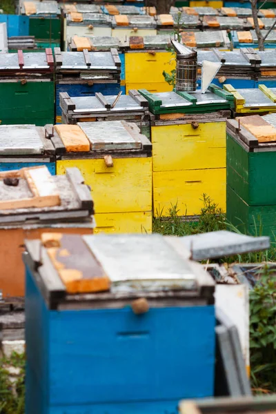 Bee roker op de top van bijenkorven vakken — Stockfoto