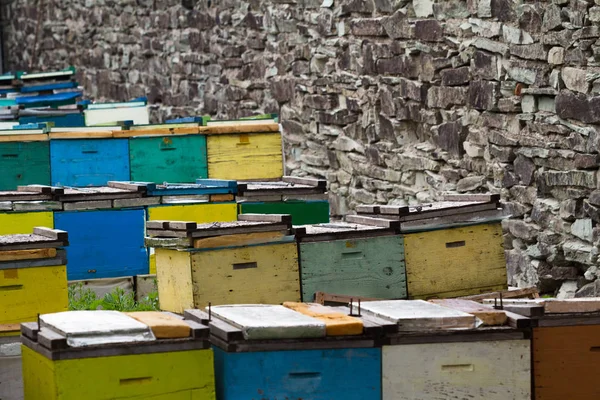 Bijenkorven in de buurt van een stenen muur — Stockfoto