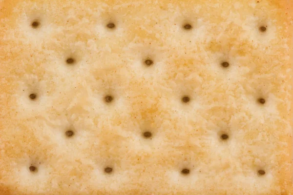 Bisküvi hafif kahverengi doku closeup