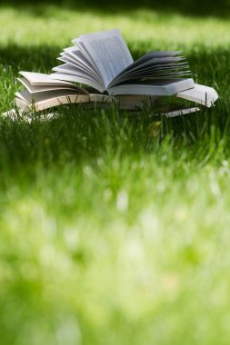 çimenlerin üzerinde yeşil bir parkta açın