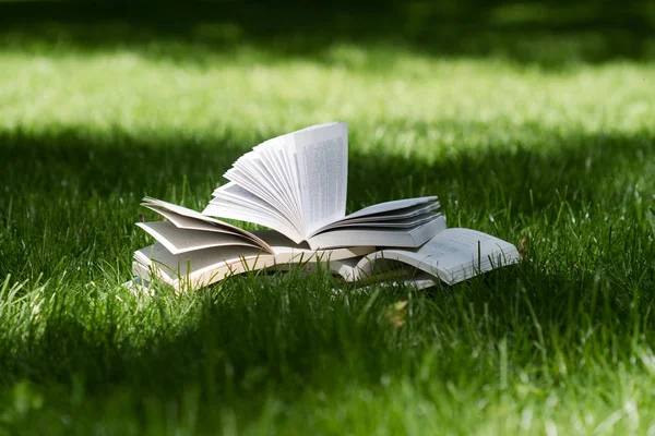 Libri aperti sull'erba in un parco verde — Foto Stock