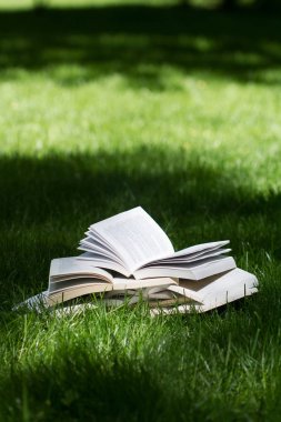 çimenlerin üzerinde yeşil bir parkta açın