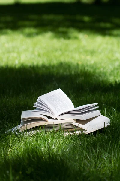 Livres ouverts sur l'herbe dans un parc vert — Photo