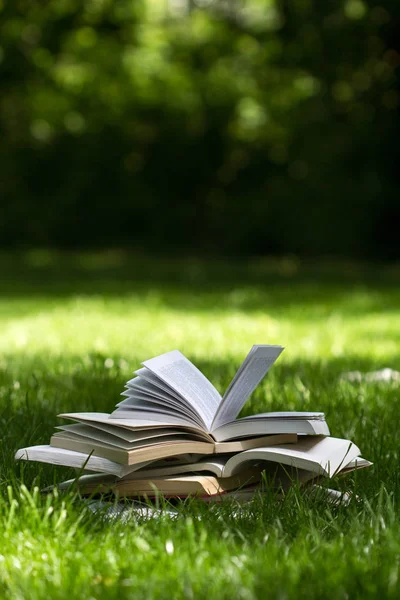 Livros abertos sobre grama em um parque verde — Fotografia de Stock