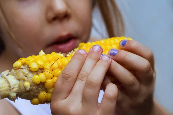 Niño con las manos sucias comiendo un maíz en la mazorca — Foto de Stock