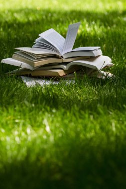 çimenlerin üzerinde yeşil bir parkta açın