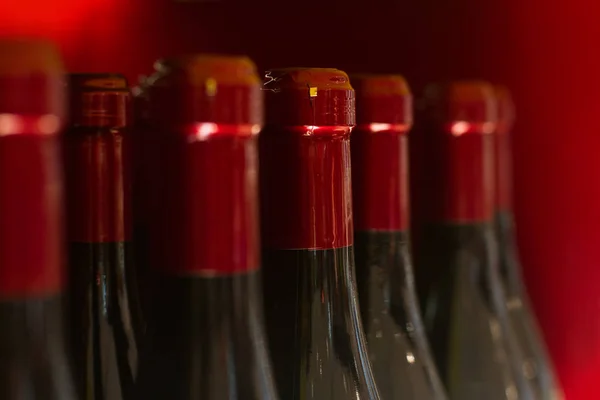 Garrafas de vinho tinto na loja — Fotografia de Stock