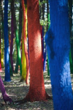 boyalı ağaçları ile orman