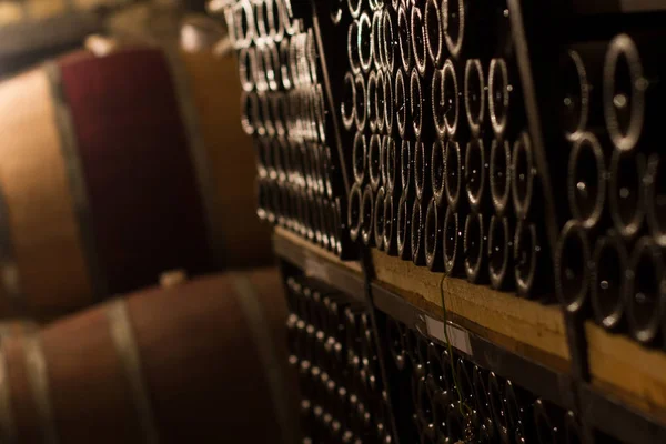 Fileiras de garrafas de vinho vintage em uma adega — Fotografia de Stock
