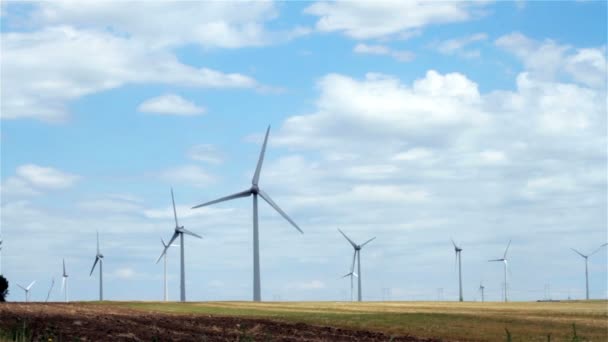 Front View Green Meadow Many Moving Wind Turbines Blue Sky — Stock Video