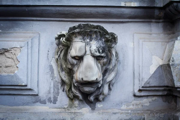 Резной орнамент из львиной головы — стоковое фото