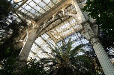 Schonbrunn Sarayı 'ndaki Palm House.