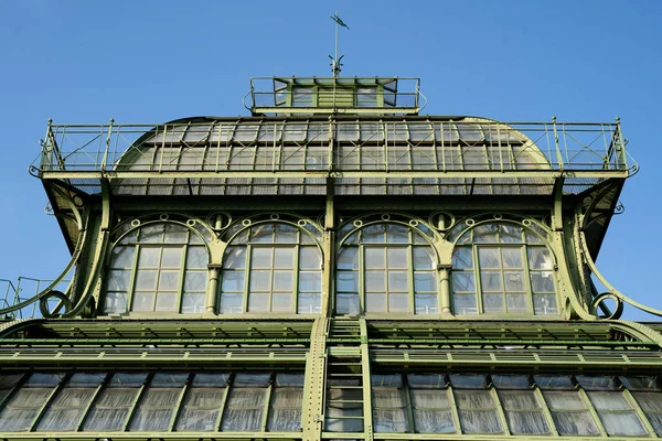 Maison de palmiers au Palais Schonbrunn — Photo