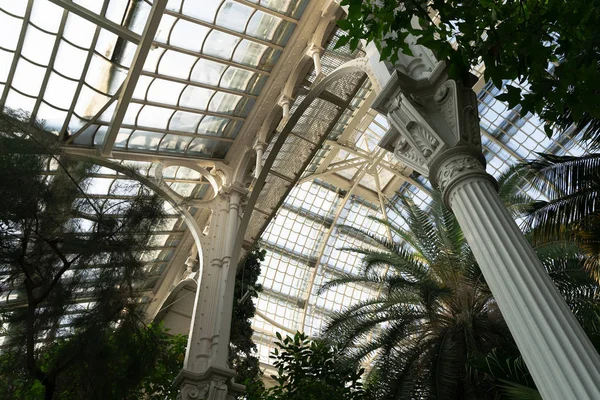 Maison de palmiers au Palais Schonbrunn — Photo
