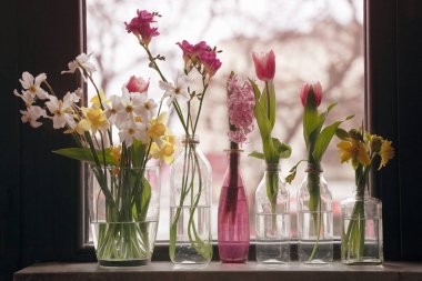 Pencerenin önünde duran cam vazolardaki farklı çiçek türlerinin ön görüntüsü gün ışığında