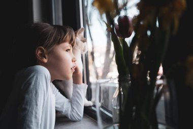 Beyaz uzun kollu gömlekli beyaz bir kızın yakın plan portresi kedisine yakın pencerenin önünde bekliyor ve bakıyor.