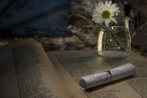 Bir not defterindeki bir halka ile