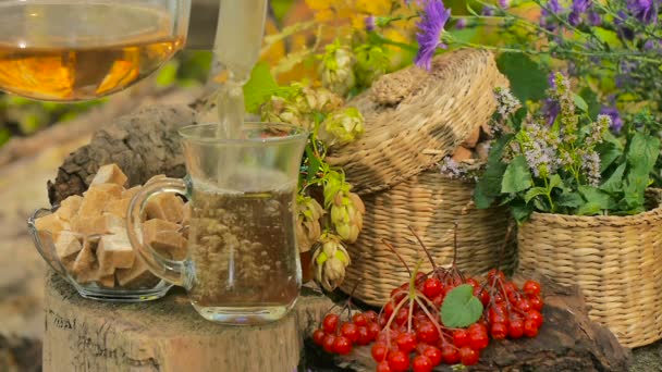 Осенний натюрморт с чаем и ягодами — стоковое видео