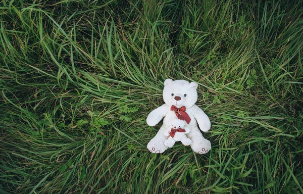 Weiße Teddybären Auf Dem Grünen Gras Ansicht Von Oben — Stockfoto