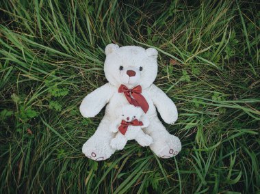 İki beyaz peluş oyuncak oyuncak ayılar yeşil çimenlerin üzerinde 