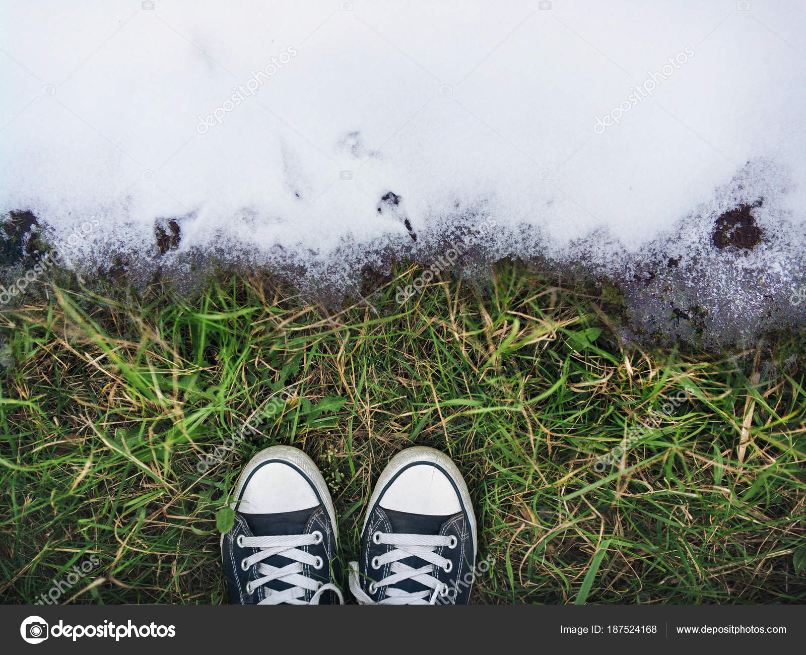 canvas snow sneakers