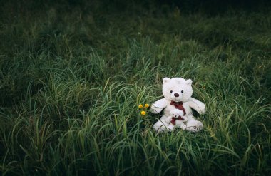 İki beyaz peluş oyuncak oyuncak ayılar yeşil çimenlerin üzerinde 