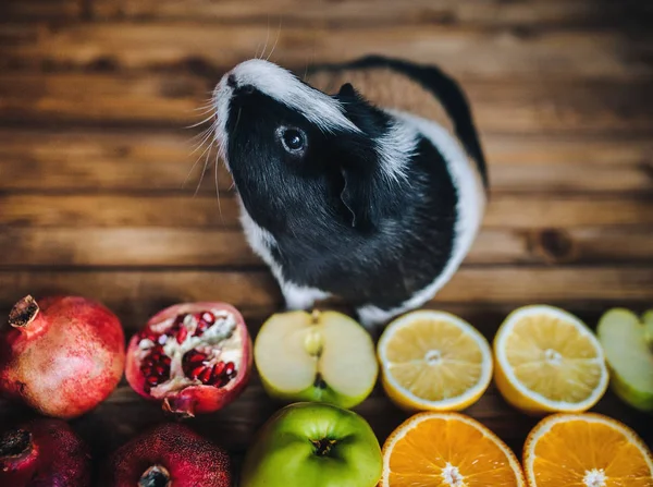 Eskiden şiling şimdi domuz sulu meyve denemek istiyor. Elma, portakal, limon, el bombası. Ahşap arka plan. Eskiden şiling şimdi pigs besleme.