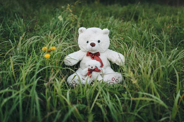 İki beyaz peluş oyuncak oyuncak ayılar yeşil çimenlerin üzerinde 