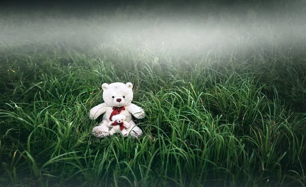 Two white plush toy teddy bears on green grass