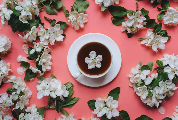 Una taza de té con platillo está sobre un fondo rosa rodeado de flores blancas de un manzano. El concepto de té de primavera y decocciones medicinales. Primer plano, vista superior . — Foto de Stock