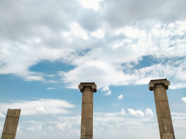 Sermaye iyonik stili sütunlarla ilgili sanat eserleri. Sanatsal alan mimaridir..