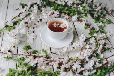 Cup of green tea and spring apricot blossom on a white wooden background. Rustic, close up, green leaves. clipart