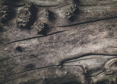 Eski ahşap dokusu yakın çekim. Doğal arka plan. Boşluğu kopyala.