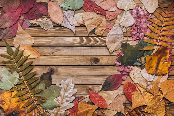 Jesienny Suchy Liść Drewniany Tło Miejsce Tekst — Zdjęcie stockowe