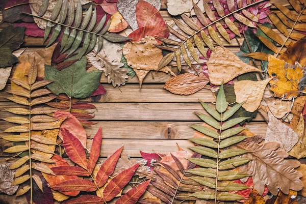 Zioło Jesienny Suchy Liść Bury Drewniany Tło Miejsce Tekst — Zdjęcie stockowe