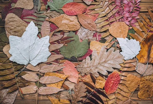 Stare Zioło Wiele Jesiennych Suchych Liści Brązowym Drewnianym Tle — Zdjęcie stockowe