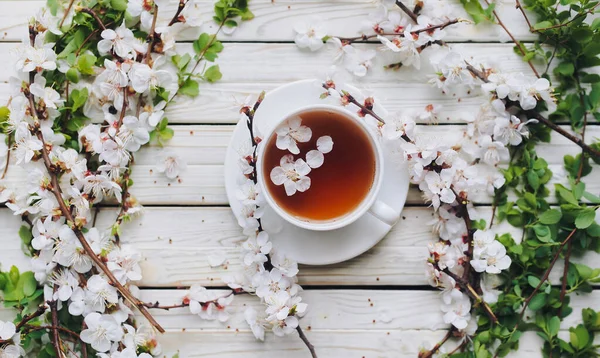 薄灰色の木の背景に緑茶と春のアプリコットの花のカップ 素朴な上からの眺め — ストック写真