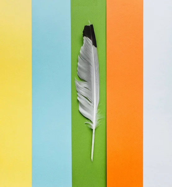 Feather on multicolor paper as a symbol of poetry. Writing and poetry concept. World Poetry Day.