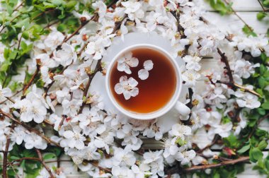 Açık gri ahşap arka planda bir fincan yeşil çay ve bahar kayısı çiçeği. Kırsal, üst görünüm.