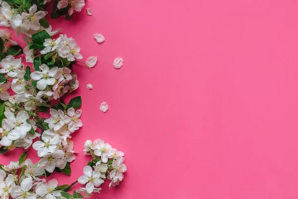 Natuurlijke Witte Bloeiende Appelbomen Groene Bladeren Een Roze Achtergrond Gemaakt — Stockfoto