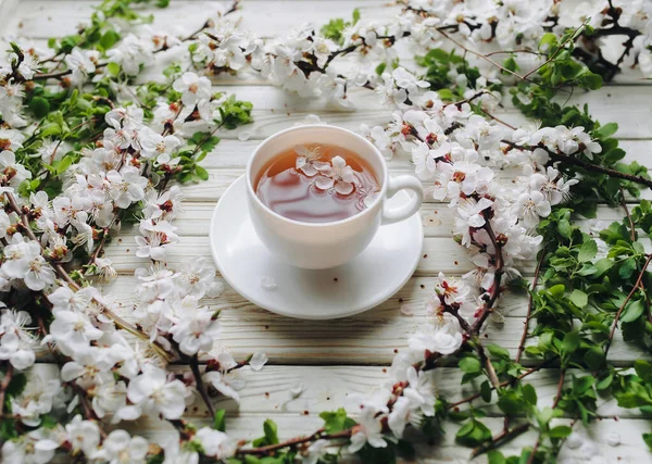 白い木の背景に緑茶と春のアプリコットの花のカップ ロシア 近くに — ストック写真