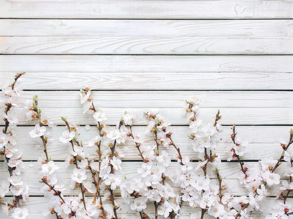 Lente Bloemen Takken Van Bloeiende Abrikozen Houten Rustieke Achtergrond Sakura — Stockfoto