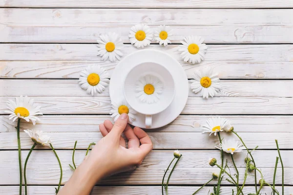 A woman's hand reaches out to empty cup with chamomile flower on white wooden table. Top view.