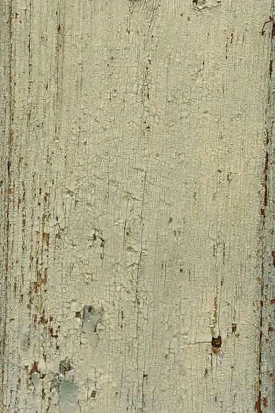 Restes de peinture sur vieux bois, vert — Photo