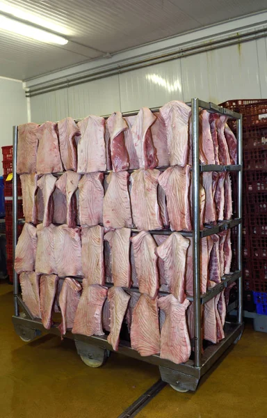 Industria cárnica procesamiento de carne de cerdo — Foto de Stock