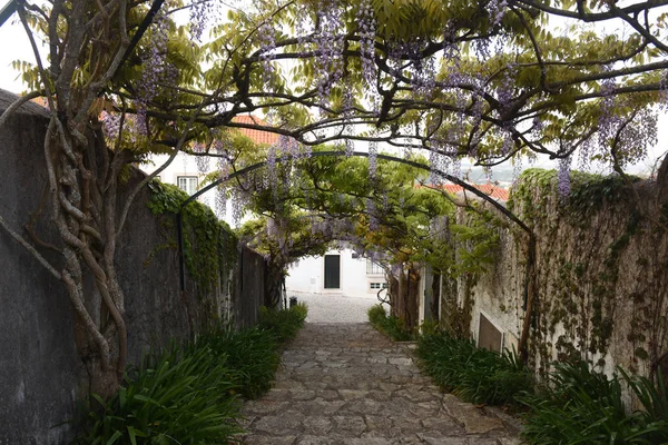 Calle en el casco antiguo de Ourem (barrio de Cadeia), región de Beiras, Portugal — Foto de Stock